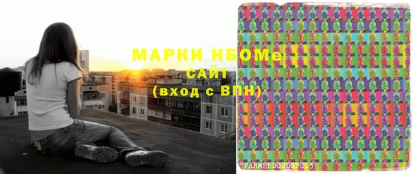 стаф Алзамай