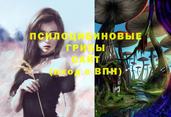 a pvp Алексеевка